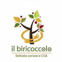 Il Biricoccolo